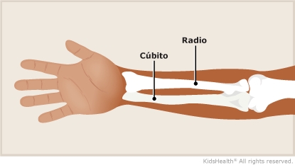 radius